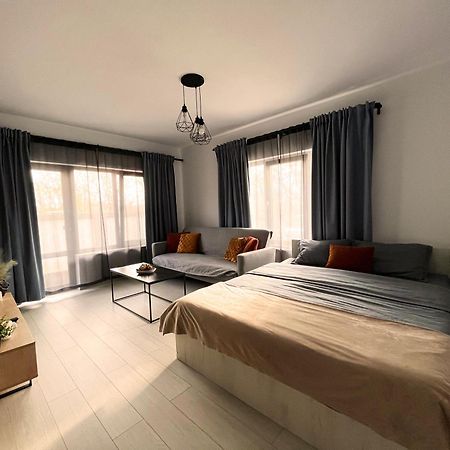 Amurresidence Ap3 Barbeque Airport&Parking Iasi Eksteriør bilde