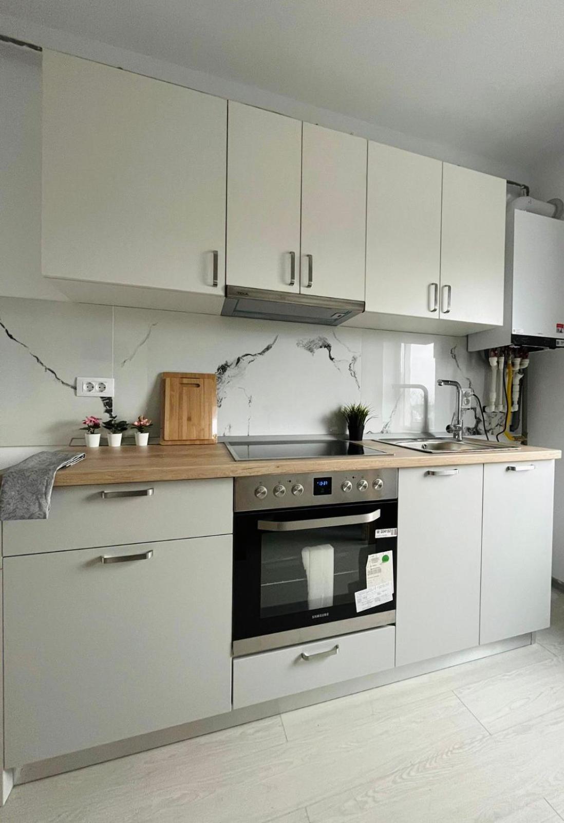 Amurresidence Ap3 Barbeque Airport&Parking Iasi Eksteriør bilde